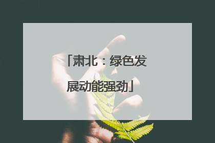 肃北：绿色发展动能强劲