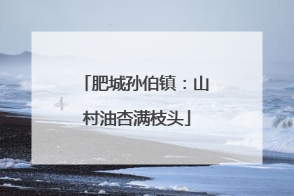 肥城孙伯镇：山村油杏满枝头