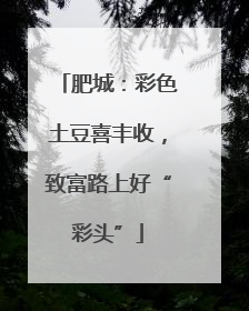 肥城：彩色土豆喜丰收，致富路上好“彩头”