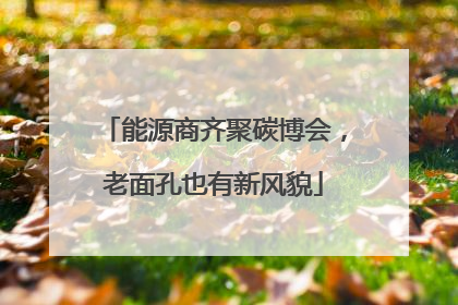 能源商齐聚碳博会，老面孔也有新风貌