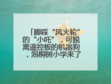 脚踩“风火轮”的“小吒”，可脱离遥控板的机器狗，泡桐树小学来了新朋友！
