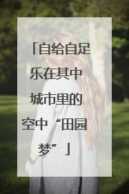 自给自足 乐在其中 城市里的空中“田园梦”