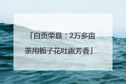 自贡荣县：2万多亩茶用栀子花吐露芳香