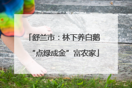 舒兰市：林下养白鹅 “点绿成金”富农家