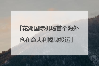 花湖国际机场首个海外仓在意大利揭牌投运