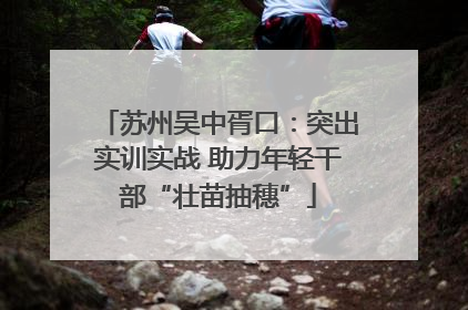 苏州吴中胥口：突出实训实战 助力年轻干部“壮苗抽穗”