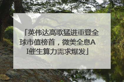 英伟达高歌猛进重登全球市值榜首，微美全息AI催生算力需求爆发