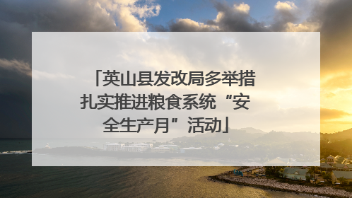英山县发改局多举措扎实推进粮食系统“安全生产月”活动