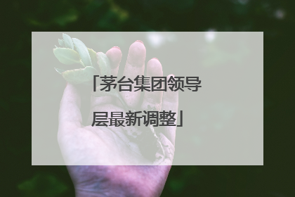 茅台集团领导层最新调整