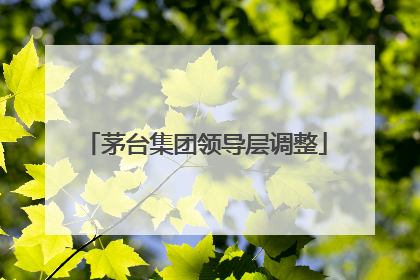 茅台集团领导层调整