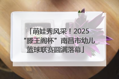 萌娃秀风采！2025“滕王阁杯”南昌市幼儿篮球联赛圆满落幕