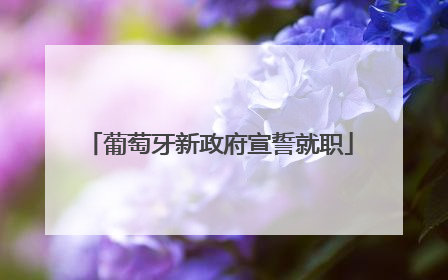 葡萄牙新政府宣誓就职