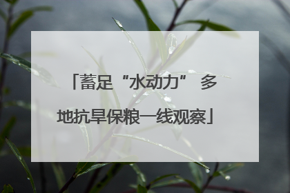 蓄足“水动力” 多地抗旱保粮一线观察