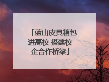 蓝山皮具箱包进高校 搭建校企合作桥梁