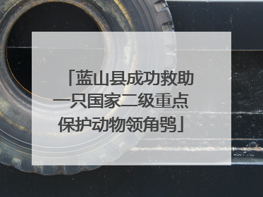 蓝山县成功救助一只国家二级重点保护动物领角鸮