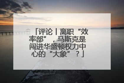 评论丨离职“效率部”，马斯克是闯进华盛顿权力中心的“大象”？