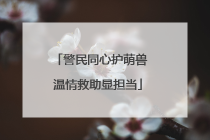 警民同心护萌兽 温情救助显担当