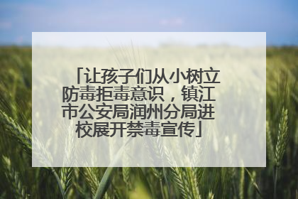 让孩子们从小树立防毒拒毒意识，镇江市公安局润州分局进校展开禁毒宣传