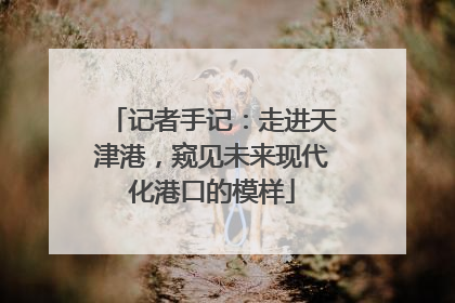 记者手记：走进天津港，窥见未来现代化港口的模样