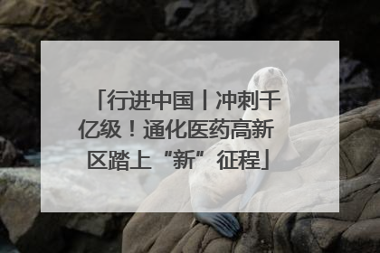 行进中国丨冲刺千亿级！通化医药高新区踏上“新”征程