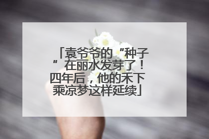 袁爷爷的“种子”在丽水发芽了！四年后，他的禾下乘凉梦这样延续