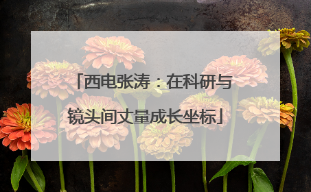 西电张涛：在科研与镜头间丈量成长坐标