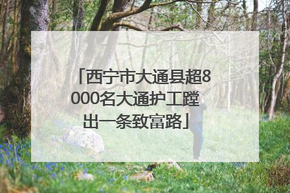 西宁市大通县超8000名大通护工蹚出一条致富路