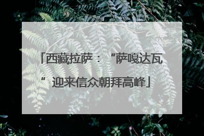 西藏拉萨：“萨嘎达瓦”迎来信众朝拜高峰