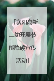 襄阳高新二幼开展节能降碳宣传活动