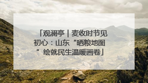 观澜亭｜麦收时节见初心：山东“晒粮地图”绘就民生温暖画卷