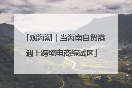 观海潮｜当海南自贸港遇上跨境电商综试区