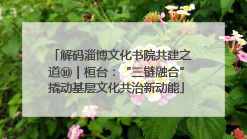 解码淄博文化书院共建之道⑩｜桓台：“三链融合”撬动基层文化共治新动能