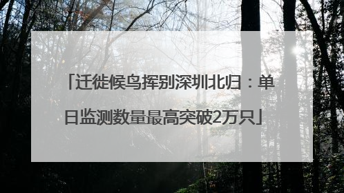 迁徙候鸟挥别深圳北归：单日监测数量最高突破2万只