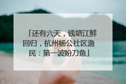 还有六天，钱塘江鲜回归，杭州杨公社区渔民：第一波盼刀鱼