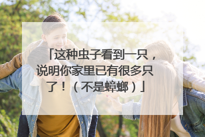 这种虫子看到一只，说明你家里已有很多只了！（不是蟑螂）