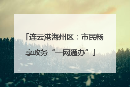连云港海州区：市民畅享政务“一网通办”