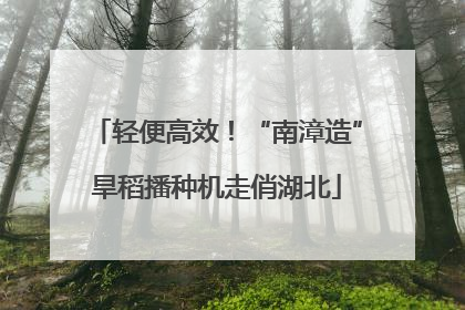 轻便高效！“南漳造”旱稻播种机走俏湖北
