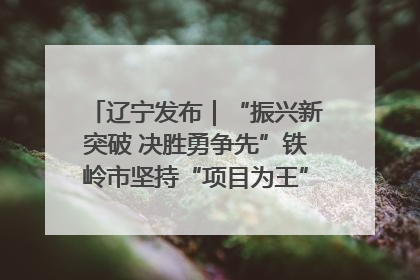 辽宁发布｜“振兴新突破 决胜勇争先”铁岭市坚持“项目为王”推进经济高质量发展