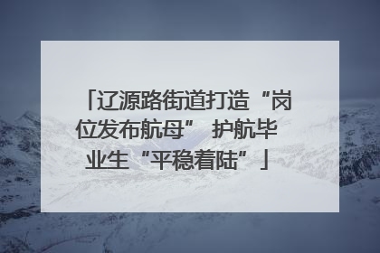 辽源路街道打造“岗位发布航母” 护航毕业生“平稳着陆”