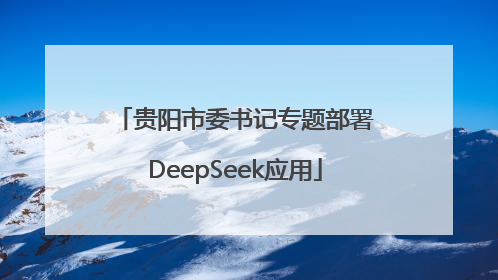贵阳市委书记专题部署DeepSeek应用