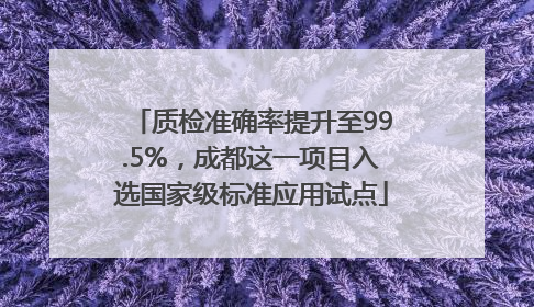 质检准确率提升至99.5%，成都这一项目入选国家级标准应用试点