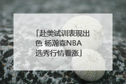 赴美试训表现出色 杨瀚森NBA选秀行情看涨