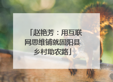 赵艳芳：用互联网思维铺就固阳县乡村助农路