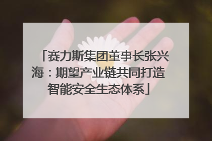 赛力斯集团董事长张兴海：期望产业链共同打造智能安全生态体系