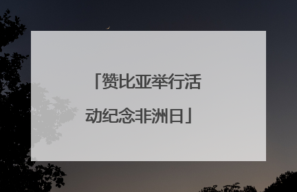 赞比亚举行活动纪念非洲日