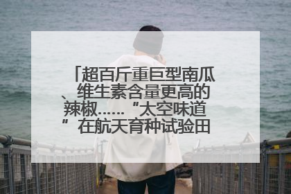 超百斤重巨型南瓜、维生素含量更高的辣椒……“太空味道”在航天育种试验田里拔节生长