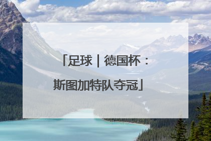 足球｜德国杯：斯图加特队夺冠