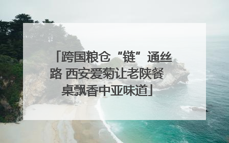 跨国粮仓“链”通丝路 西安爱菊让老陕餐桌飘香中亚味道