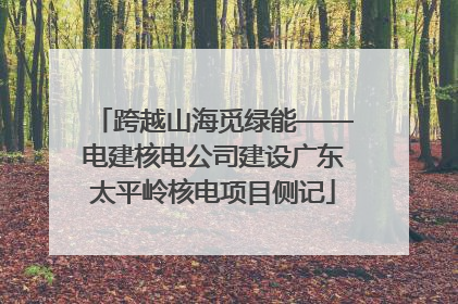 跨越山海觅绿能——电建核电公司建设广东太平岭核电项目侧记