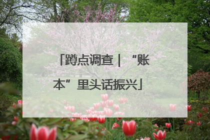 蹲点调查｜“账本”里头话振兴